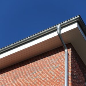 Professional Fascia & Soffits company Blantyre